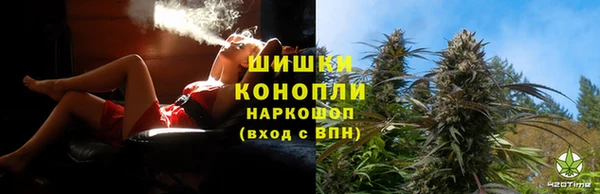 МДПВ Лиски