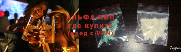 трава Магас