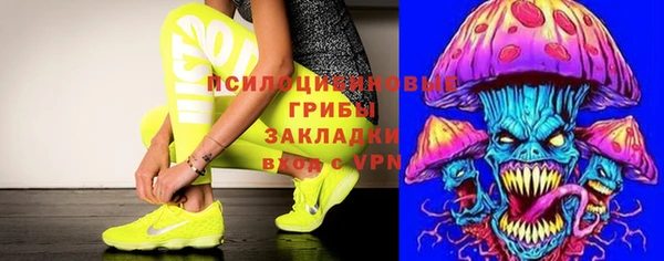 трава Магас