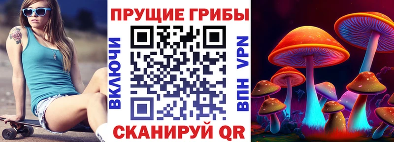 Галлюциногенные грибы ЛСД Купить закладки Дзержинский